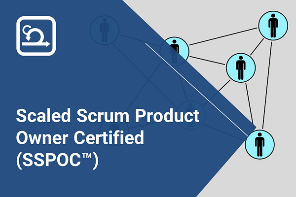 Scaled Scrum Product Owner