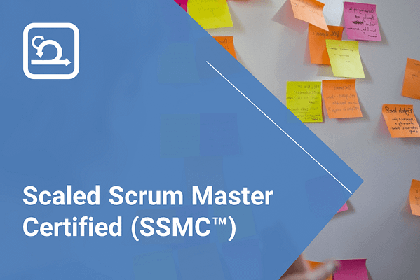 Scaled Scrum Master